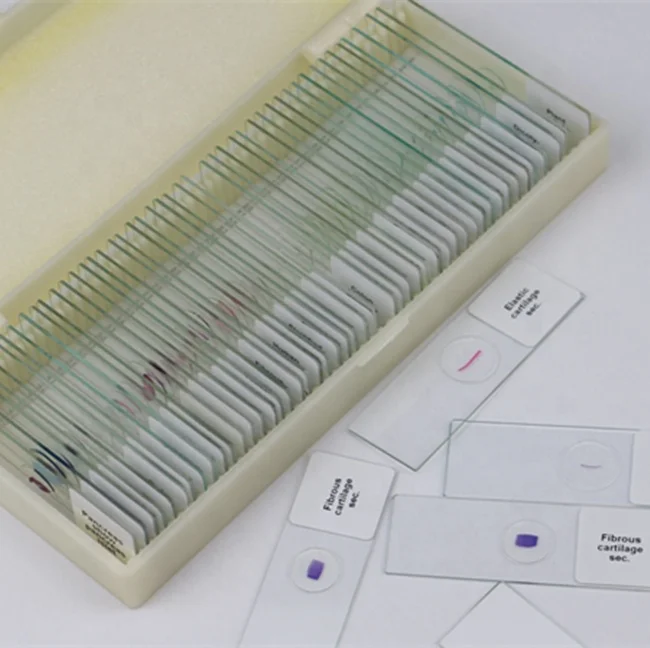 medical science Factory educational middle school students microscopes kits of prepared microscope slides on sale