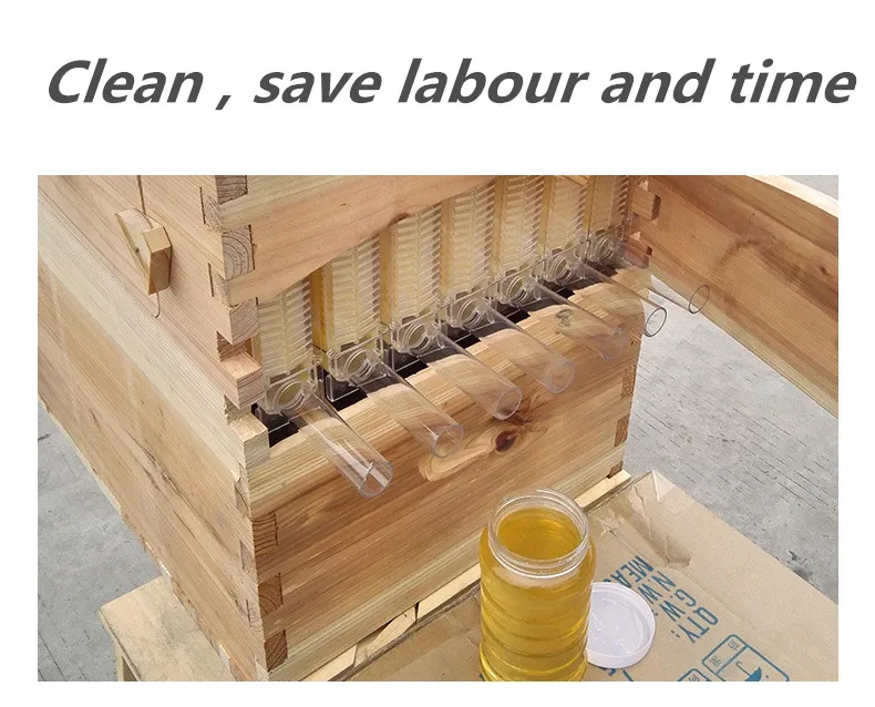 Automatic beehive with 7 pieces frame plastic honey outflow beehive honey comb full set