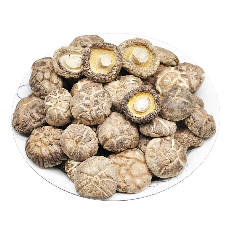 
2020 Wholesale best quality Flower Mushroom from china 