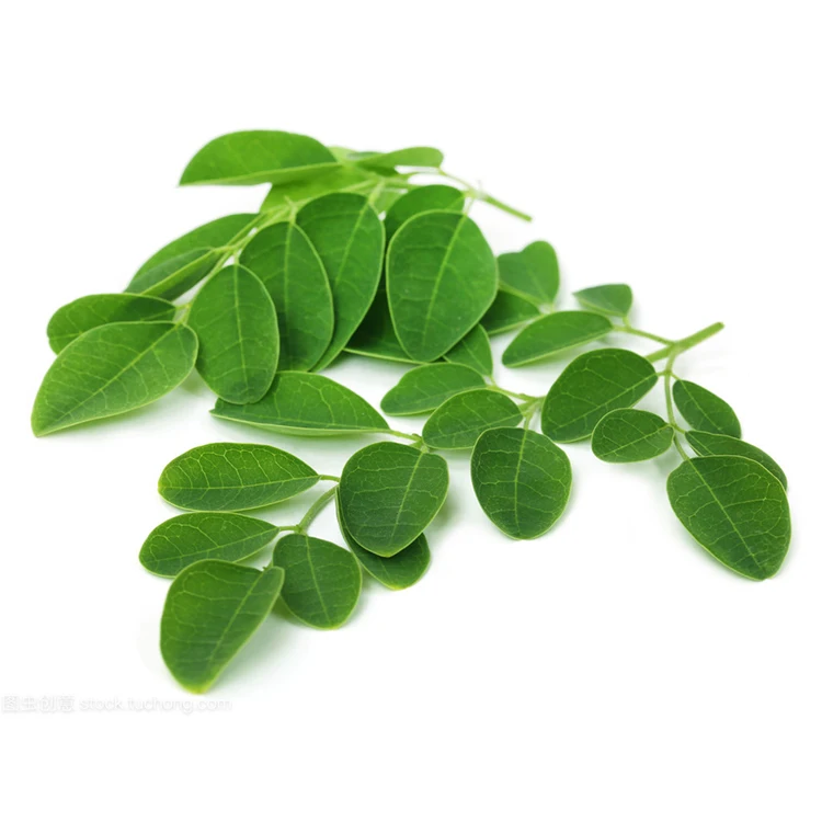 Factory supply organic 100% pure cold pressed moringa seed oil in bulk price