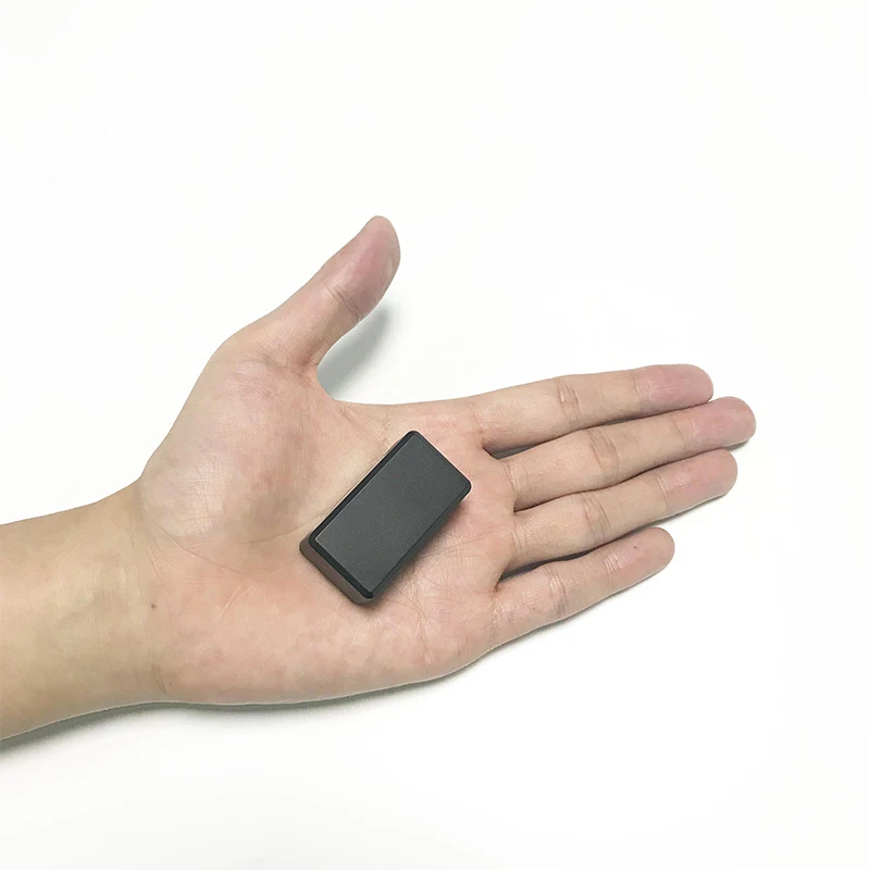 Vjoy Car GF10 Micro Waterproof GPS GPS 700mAh Pets Dogs Cats Birds Mini Pet Locator