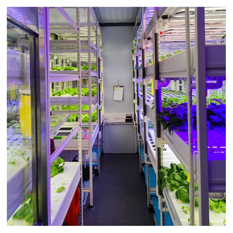 Smart Farm Shipping Container Plant Factory Vertical Farming Hydroponic Grow Microgreens Greenhouse