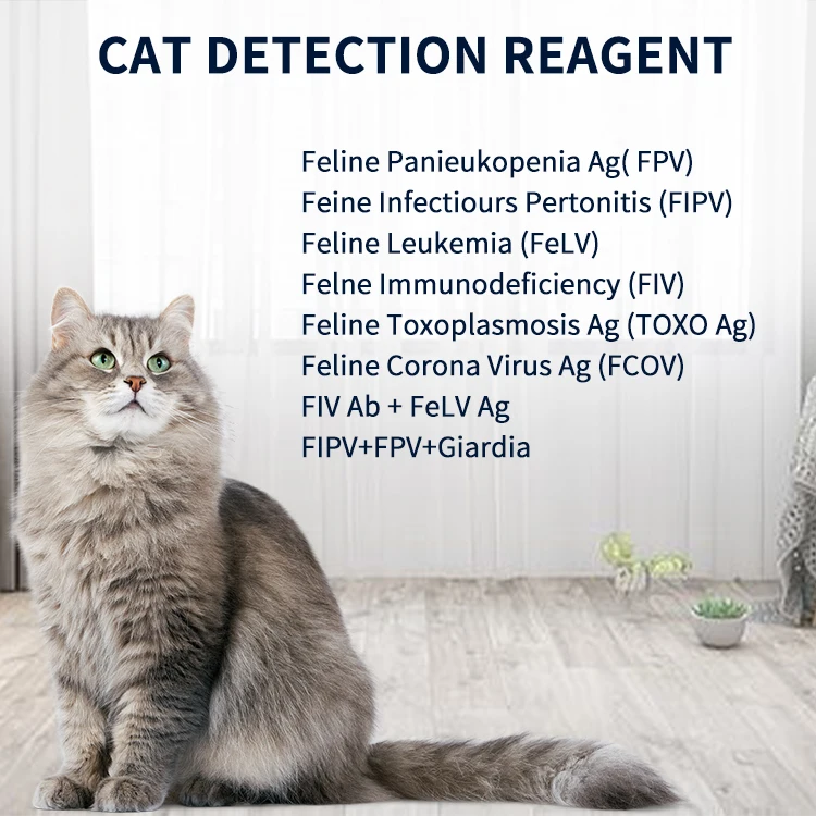 GooDoctor Veterinary Use FCV Ag Feline Calicivirus Antigen Test for Cat