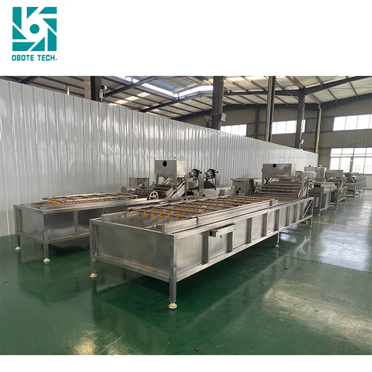 stainless steel meat washer mini carrot washing machine