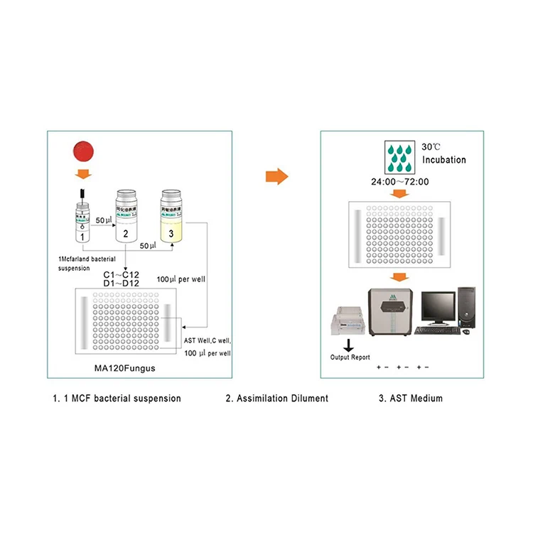 Professional Factory Wholesale Medical Yeast And Yeast-like Fungus Ast Test Plate Wide Application Fungus Test Card