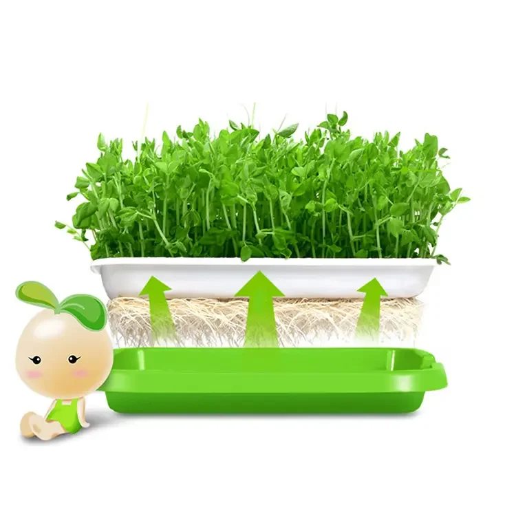 Sprouting Pea Bean Peanut Hydroponic Planting Nursery Seedling Microgreen Tray For Soilless Cultivation Germination Plate