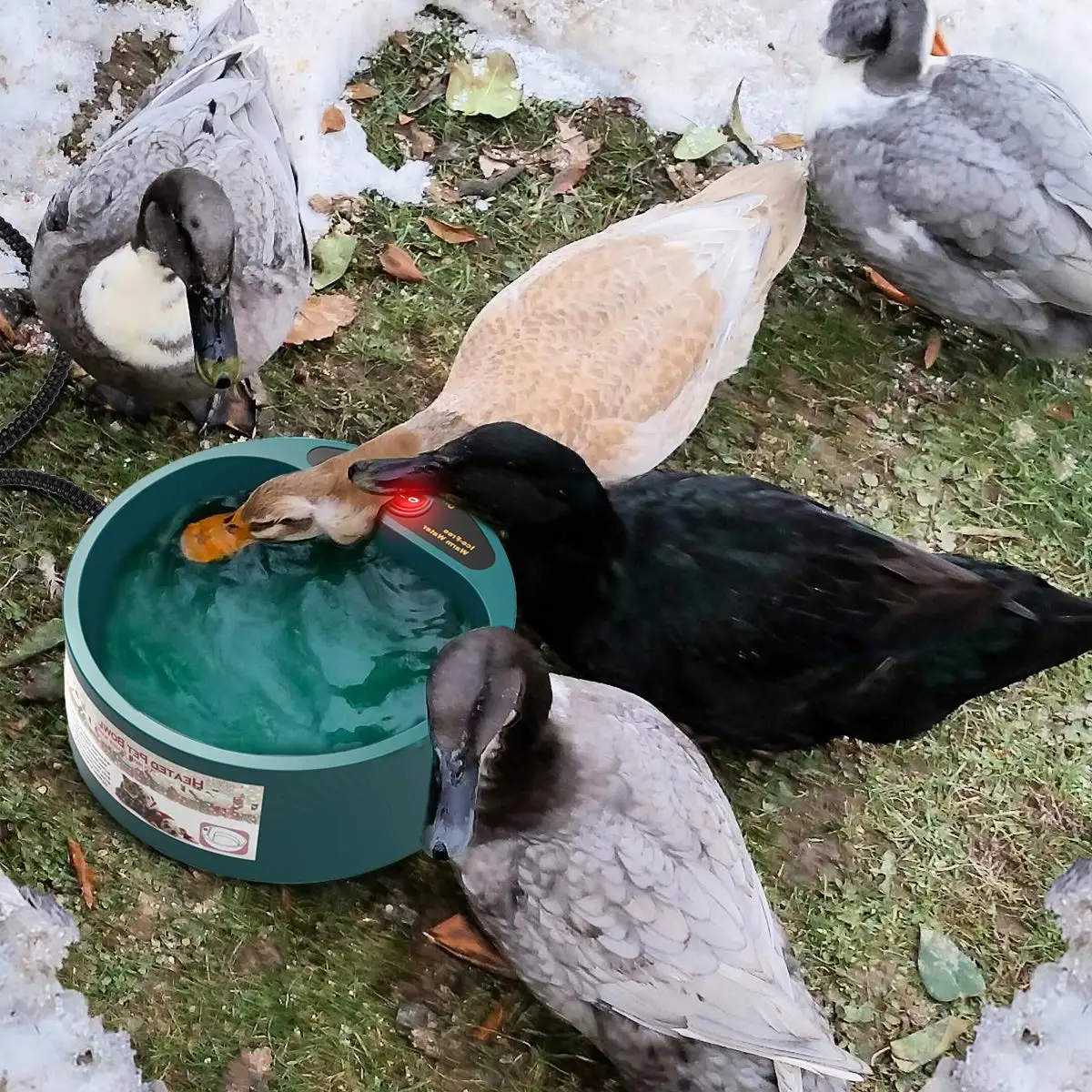 68OZ Pet Water Heating Bowl for Cats Dogs Chicken Birds Outdoor Winter Dog Bowl