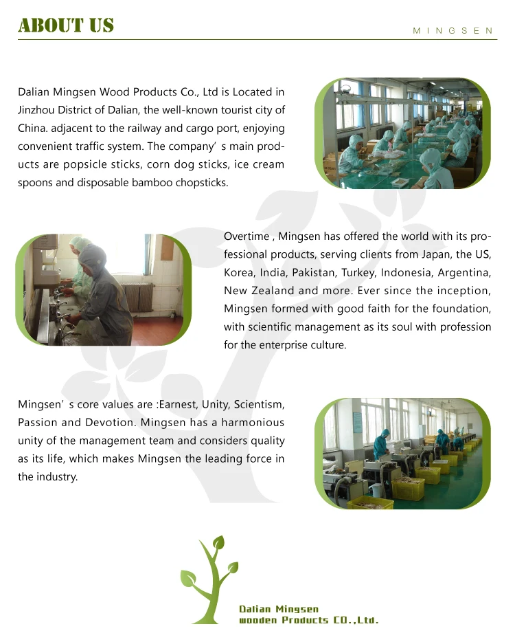 paper wrapped wooden ice cream spoon