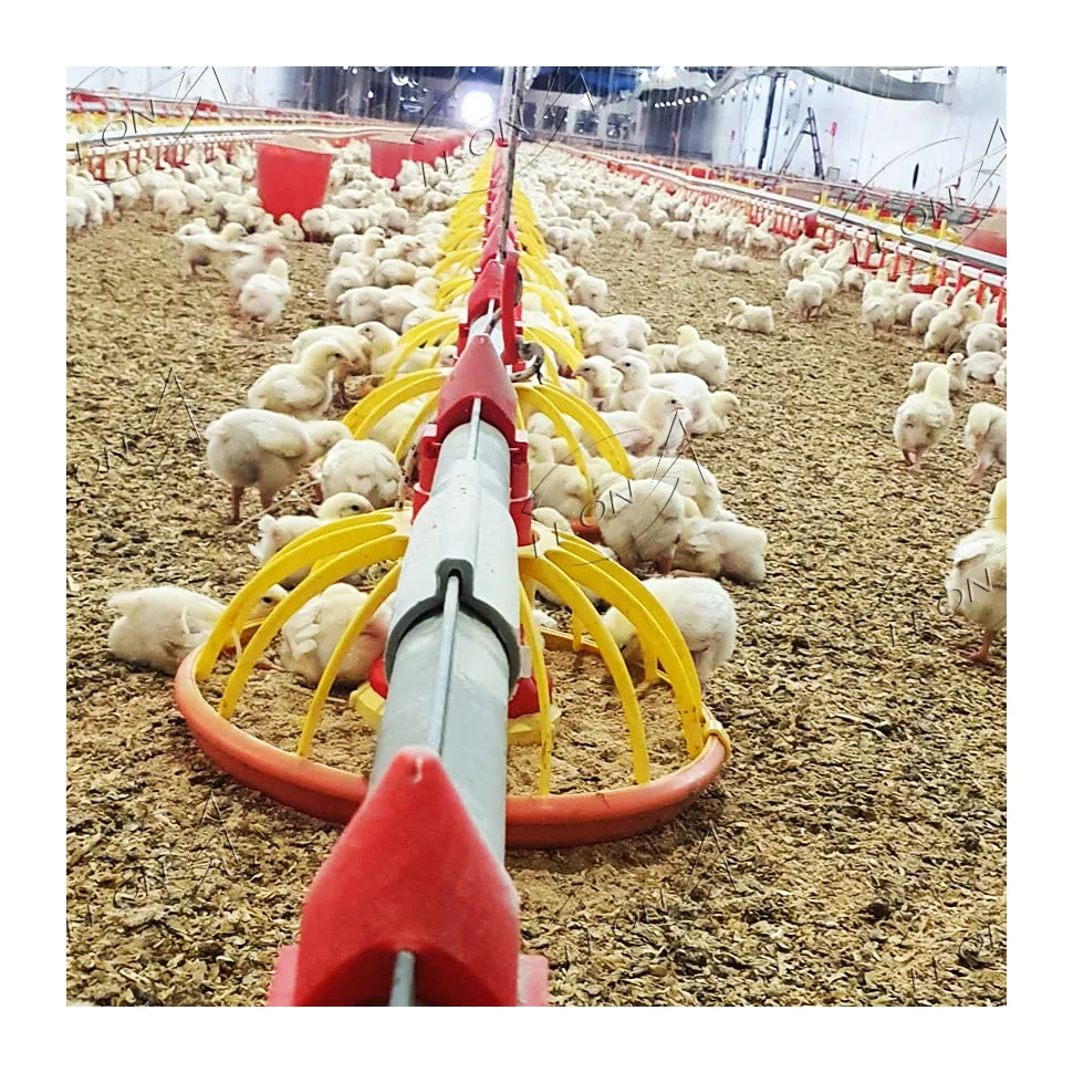 Animal husbandry broiler equipment farm with prices