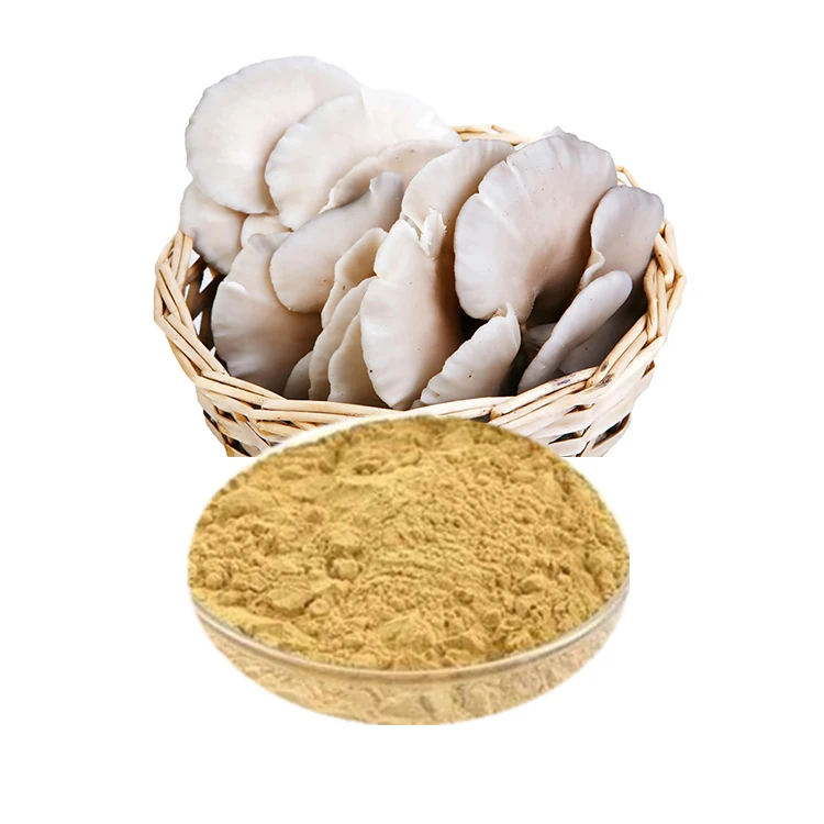 
Oyster Mushroom Extract mycelium 30% Polysacharides by UV-VIS Pleurotus Ostreatus powder 