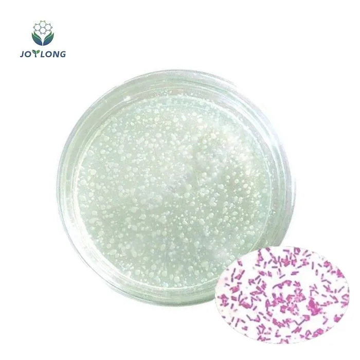Factory Price Bio Fertilizer Probiotics Silicate Bacterium Bacillus Mucilaginosus