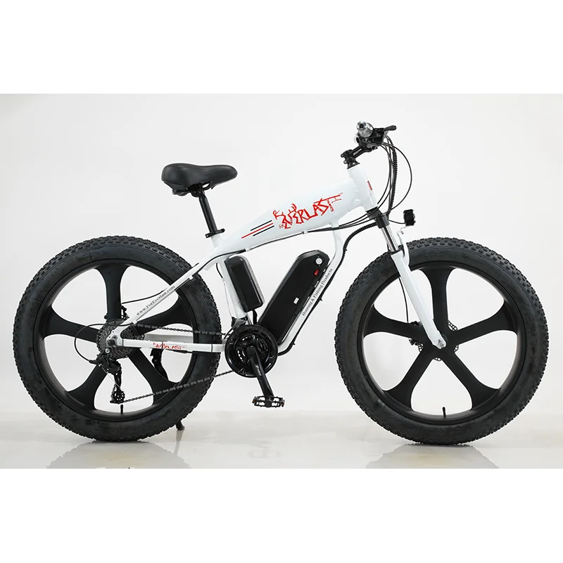 High power 750W 48V snow electric mountain bike/ebike