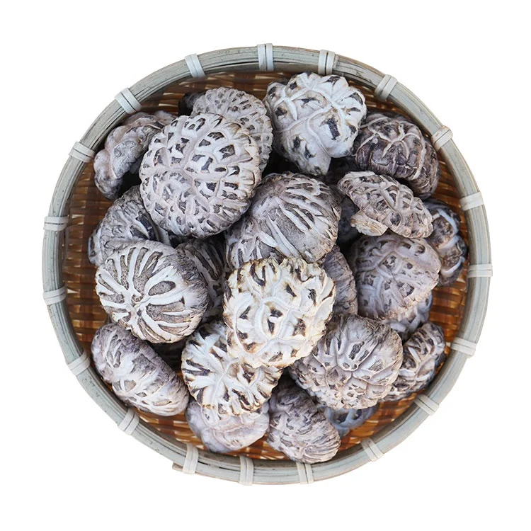 Свежие грибы устричный соус shiitake пищевые добавки и витамины