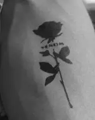 Temporary Body Art Painting   Natural Color  Semi Permanent paste Gel DIY black temporary tattoo ink with your label