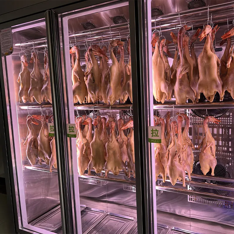 Commercial Stainless Steel Duck Dryer 2 Glass Door Dry Display Refrigerator Goose Drying Fridge