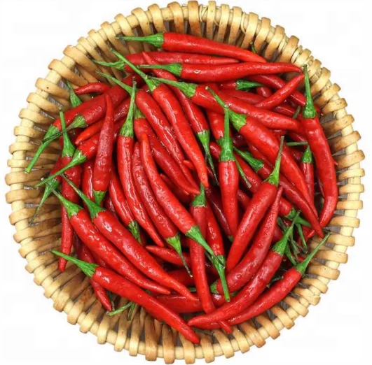 
China Hybrid f1 Red Chili Hot Pepper Vegetable Seeds for Planting 