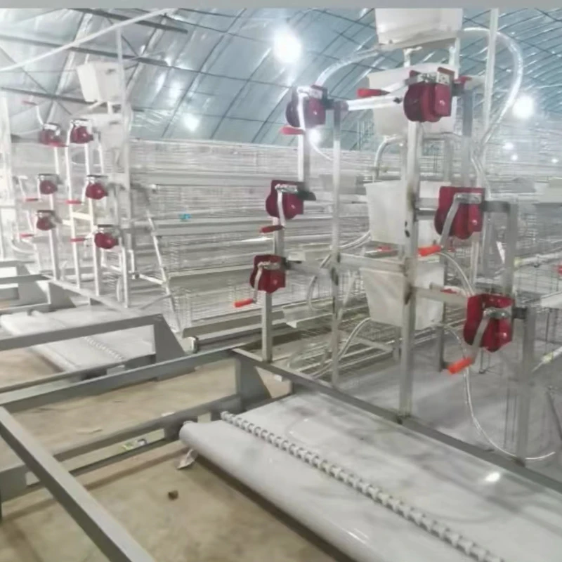 Fully Automatic A-Type Chicken Egg Layer Cages for Sale Premium Animal Cages for Chicken Rearing