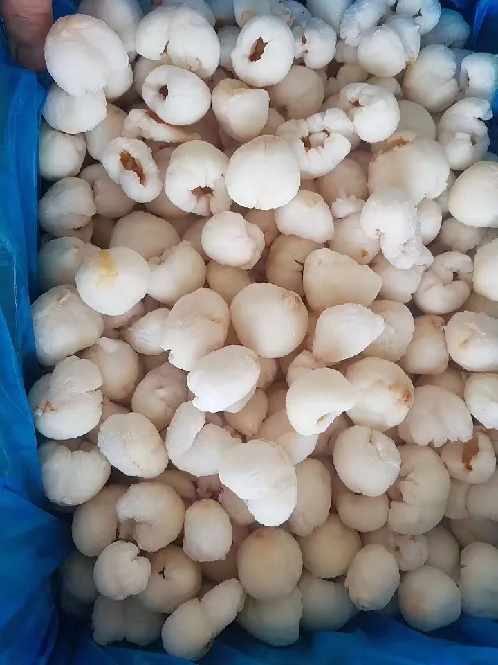 Professional  Frozen Peeled Lychee  Seedless Iqf Lychee Frozen Lychee