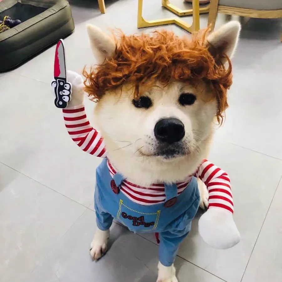 Костюм для собак на Хэллоуин