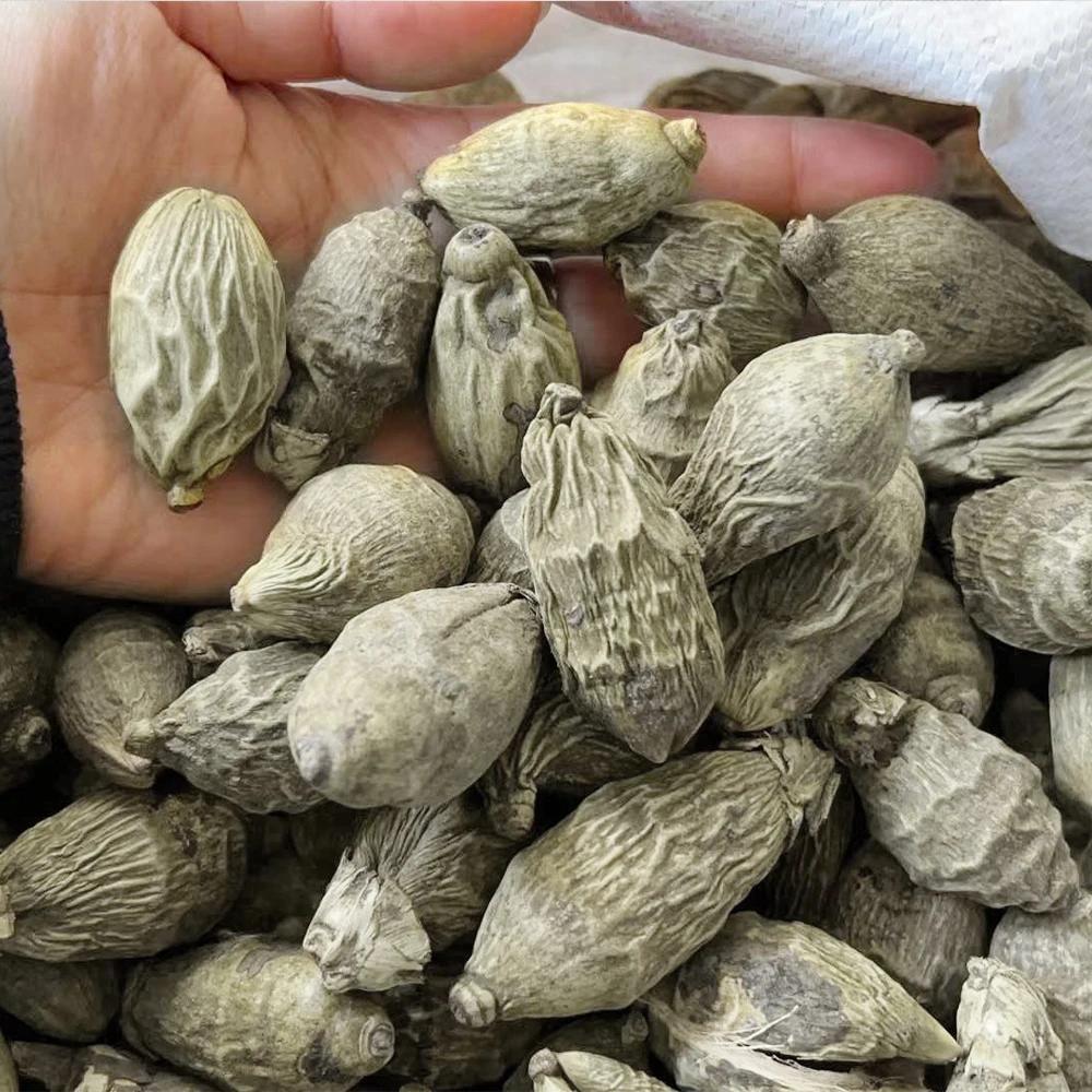 Wholesale nuts buyers betel nut areca catechu dried  areca-nut