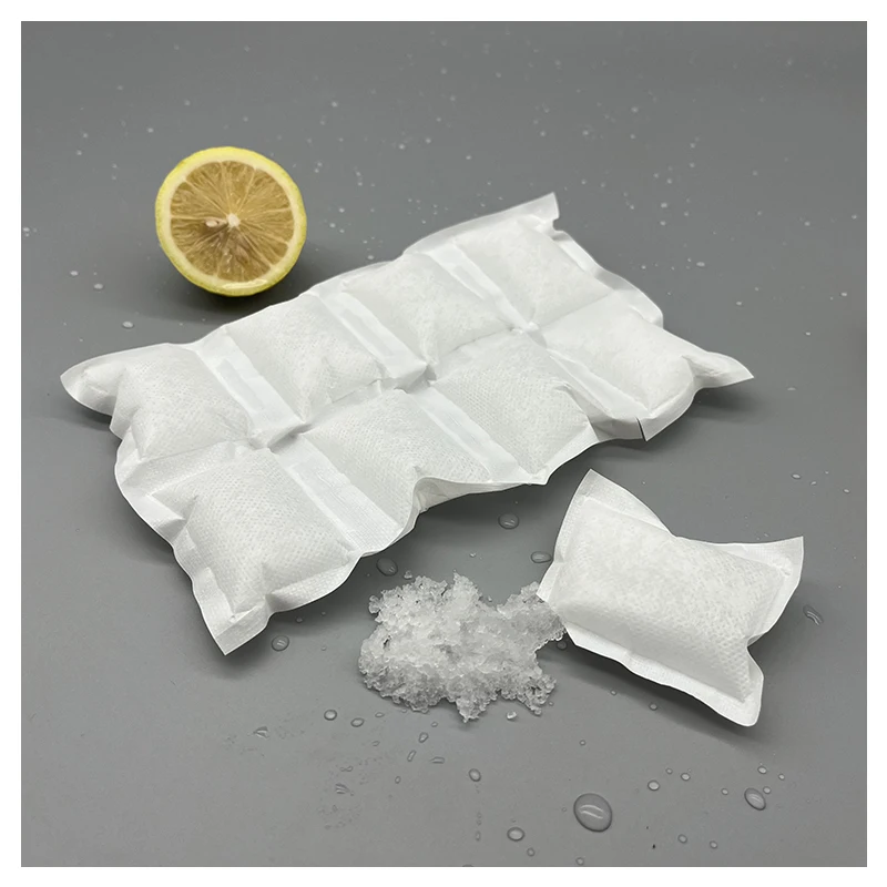 Packs Dry Ice gel Packs  for Shipping Frozen Food /24 cubes small Ice Packs for Kids Lunch / Reusable Ice Packs