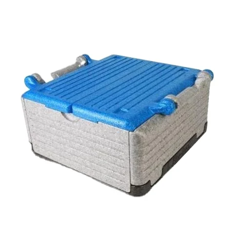 Reusable Expanded Polypropylene PCM EPP Cooler Box Fast Food Take-Out Delivery 38L Insulation Container Foldable Epp Thermal Box