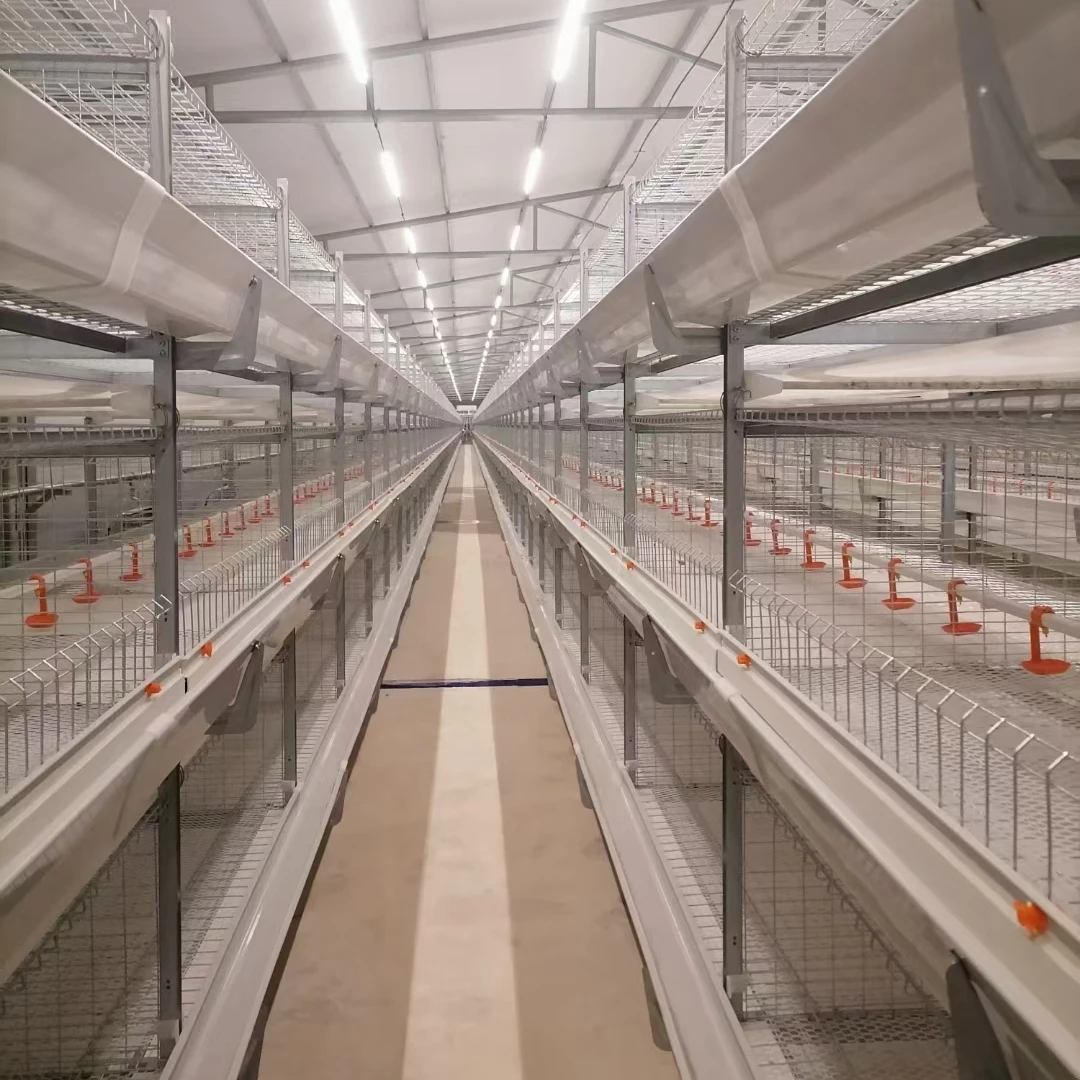 Chicken cage for broilers roosters cage