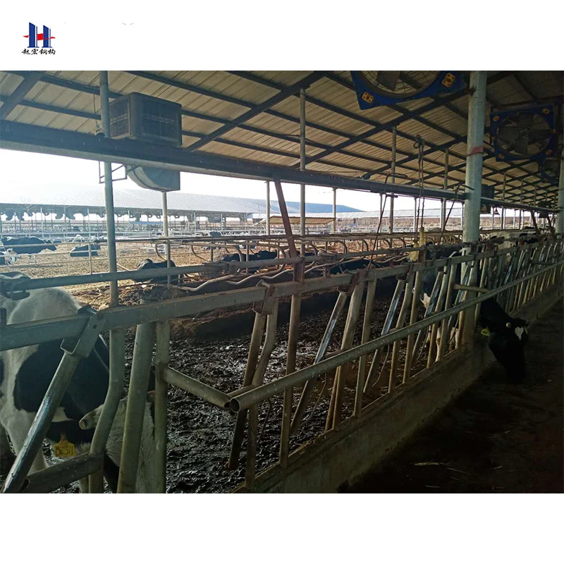 
Professional factory supply Prefabricated steel structure sheep farm shed with CAD design 