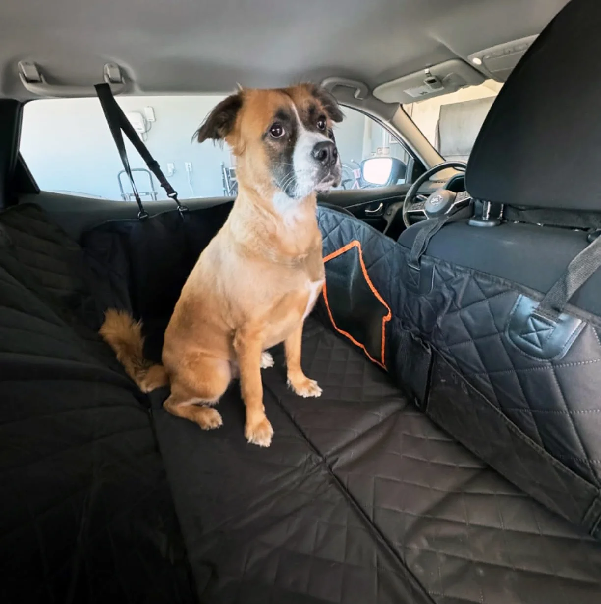 Mesh Window And Storage Pocket Full-Size Trucks Suv Pet Car Seat Covers Backseat Bus Hammock For Cargo Area