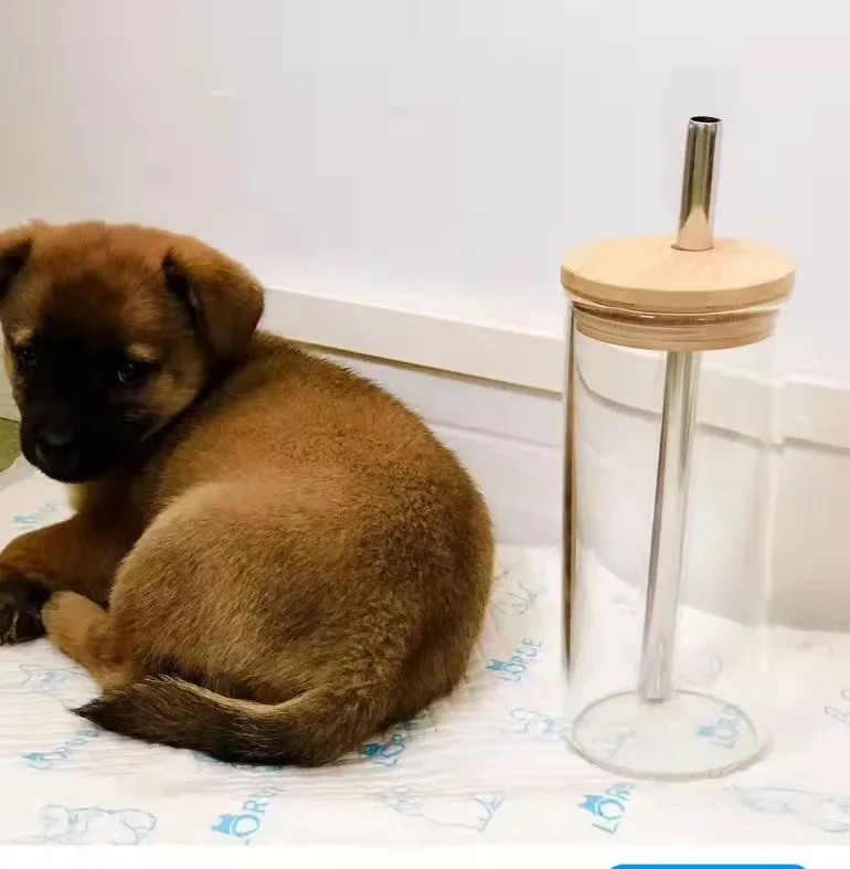 Iced Coffee Glass Tumbler, Reusable Smoothie Cup, Boba Bubble Tea Jar, Wide Mouth Mason Jar with Wooden Lid and Stainless