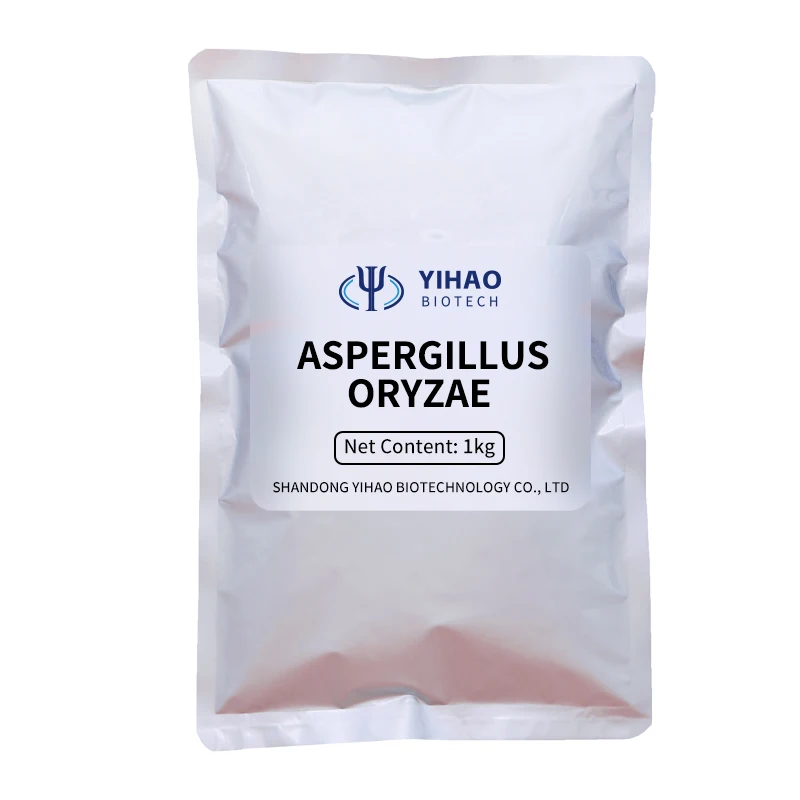 Hot Sale 10 Billion Bacillus Subtilis Probiotics Effective in Controlling Harmful Bacteria for Fish