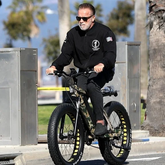 VTUVIA / 750w Fat Tire electric bicycle 500W Snow/Beach Cruiser scrambler electric bike