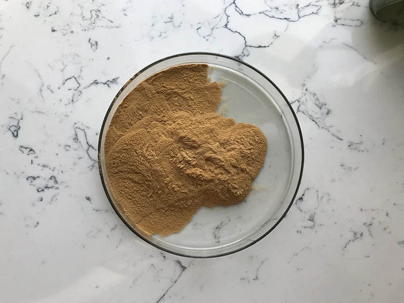 Natural Supplements 7% Organic Silicon Horsetail Extract