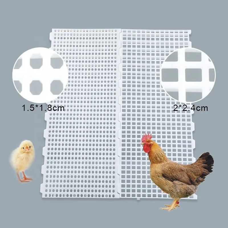 Extremely hygienic 1200*500 mm  Non-rotting broiler farm plastic chicken slats floor for poultry farm
