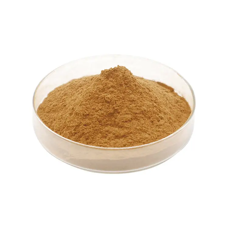 Manufacturer Supply Best Shiitake Mushroom Extract For Food