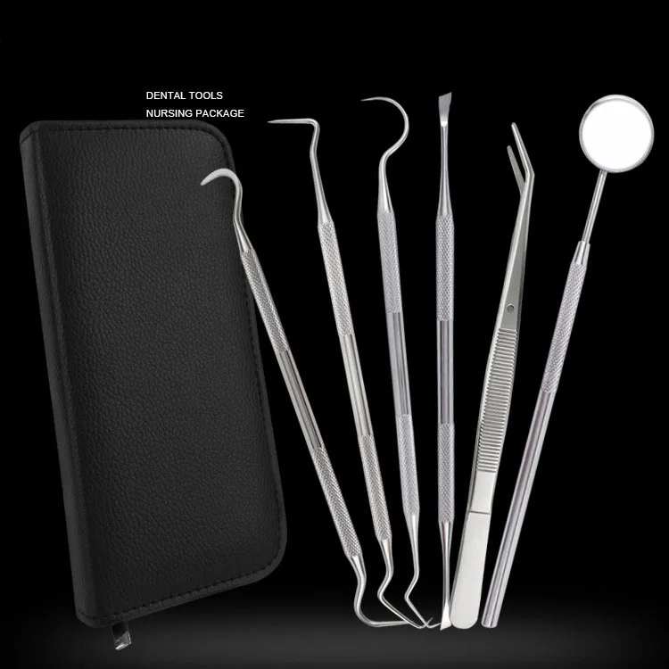 Wholesales High-end Stainless Steel  Professional Beauty Personal Care Dental Hygiene Kit for Home Use Tools