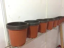 Durable Home Garden Supplies Flowerpot Multiple Sizes Nursery Succulents Planter Transplant Plastic Flower Pot