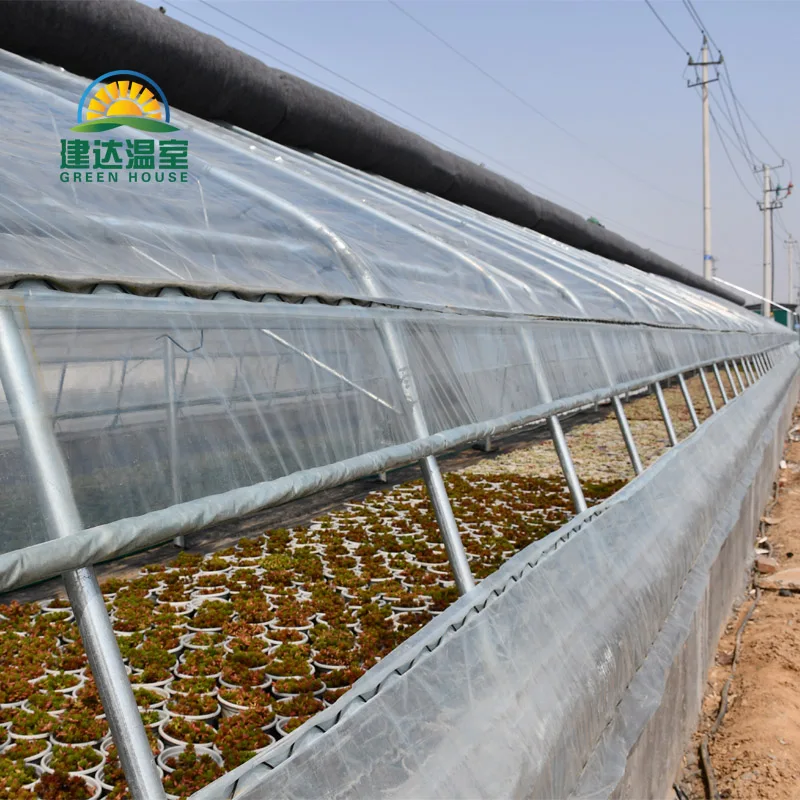 Special for cold areas warm greenhouse Agricultural quilt Greenhouses to planting strawberry  in winter