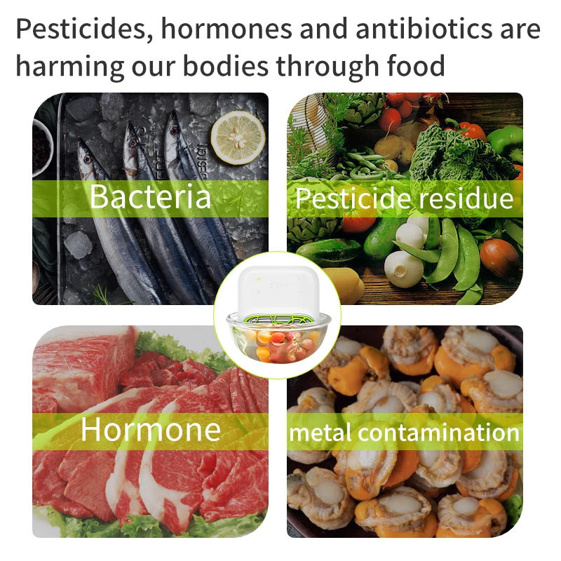 Kitchen Disinfection Machine Sterilizer for fruit and vegetable cleaning