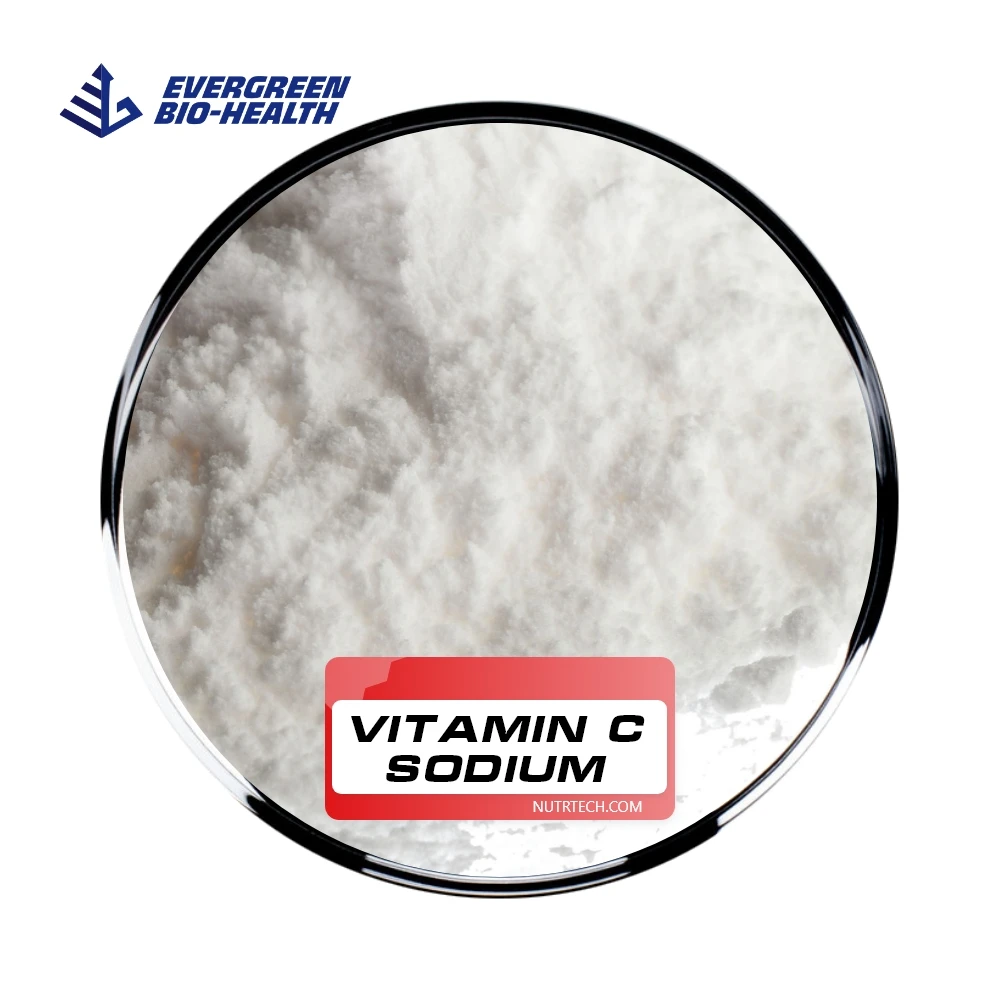 Vitamin C Sodium Ascorbate High Quality Food Grade Sodium Ascorbate Vitamin C Sodium with Manufacturers Price