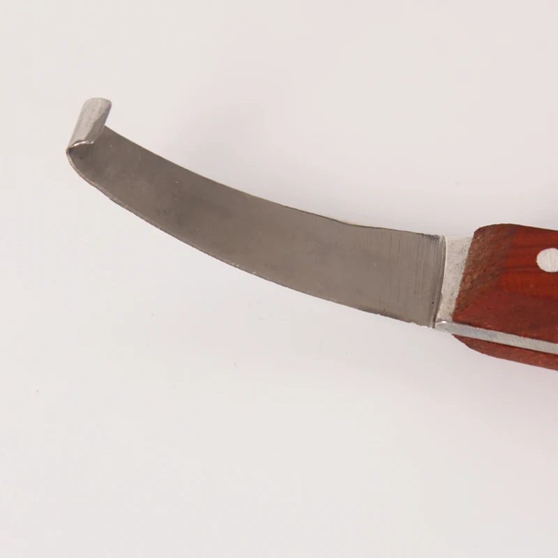 Right Hoof Cutter Knife for Cow/Horse Hoof Repair Tool Veterinary Instruments