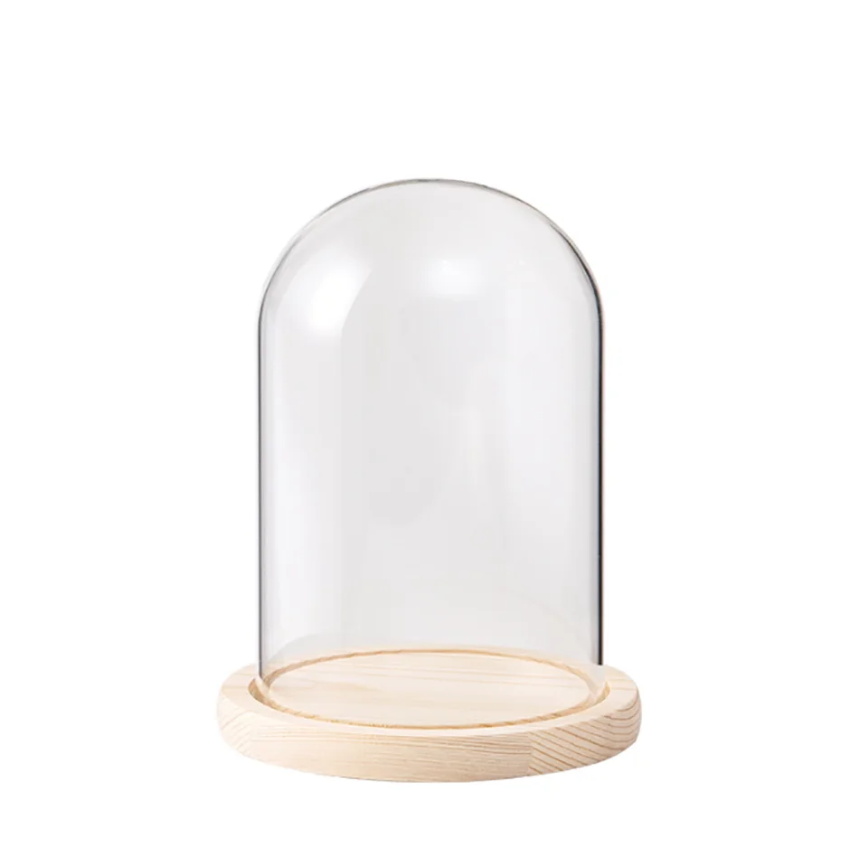 custom made decorative large christmas clear immortal rose musical clock cover bell jar cloche Jewellery display led glass dome