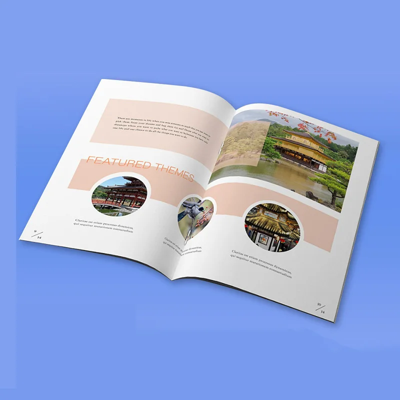 Профессиональная брошюра по индивидуальному заказу Каталог журналов печать буклета полноцветная мягкая обложка служба печати книг