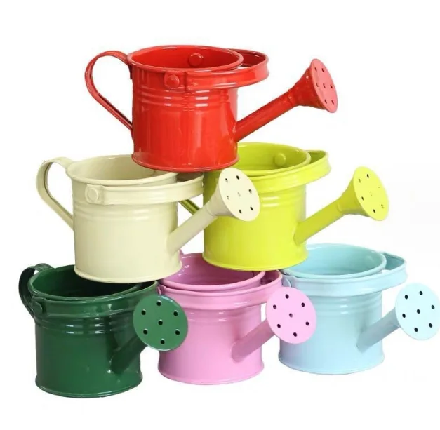 Metal Watering Can Mini Small Water Spraying Pot Kids Garden Flower Kettle