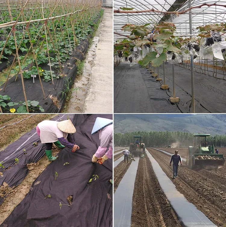 PP nonwoven Geotextile Landscape Biodegrade Plastic Mulch Film Reinforced Greenhouse Film For Agriculture