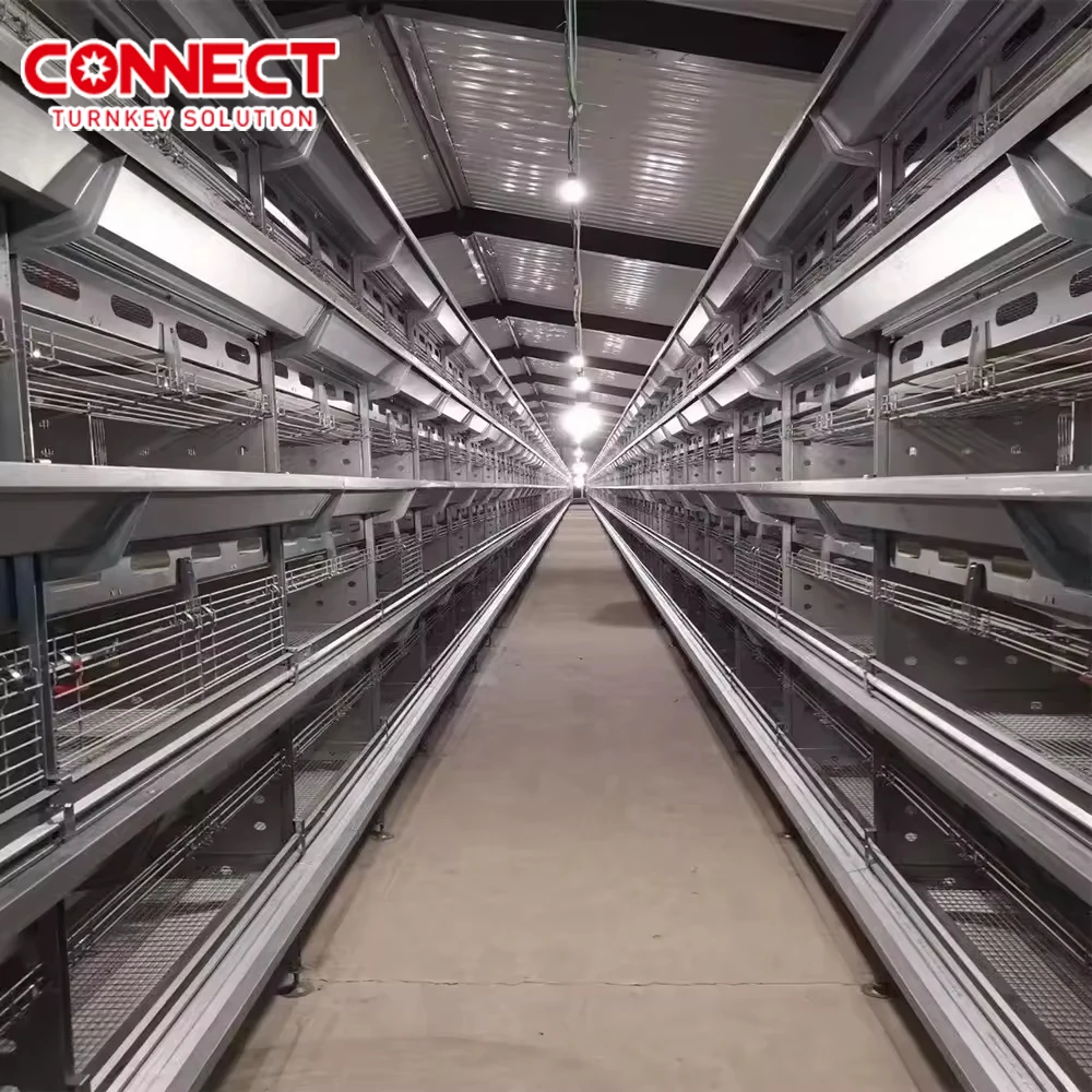 5000 Birds Capacity Poultry Automatic Feed Set Plant Farm Raising  Layer Egg Chicken Cage System