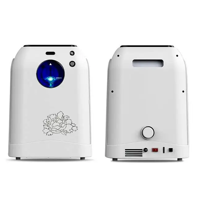Buy Home Use Household Small Portable 3l/5l/10l/15l/20l Mobile Oxygen Concentrator With Competitive Price