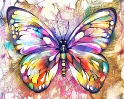 Modern Abstract Decorative High Quality Butterfly  Digital Oil Abstract Painting