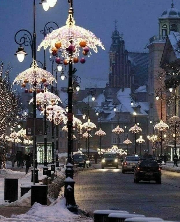 Led Outdoor Christmas Lights Led Holiday Decoration Lights Flags Led Street Decoration Motif Lights