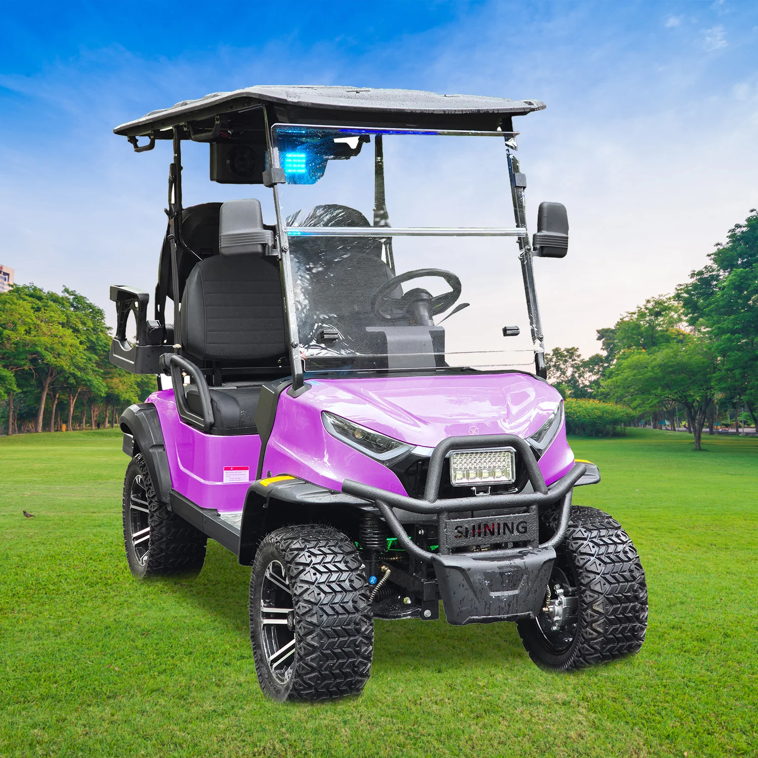 Shining brand 48v  electric bag golf cart battery electric lithium battery 4 seater golf cart